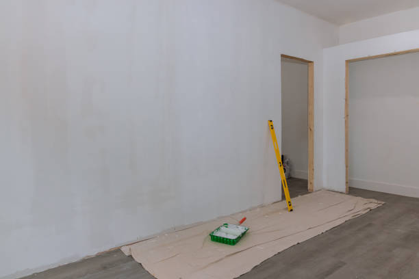 Best Commercial Mold Inspection  in Hoxie, AR