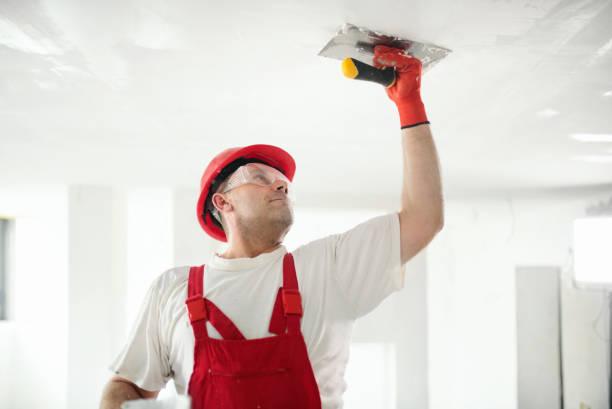 Best Biohazard Mold Removal  in Hoxie, AR