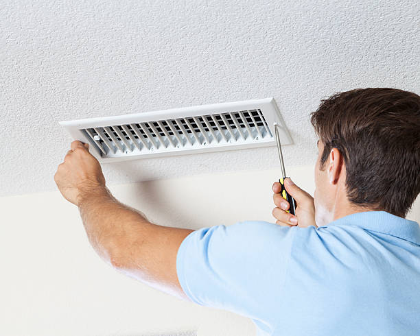 Best Mold Prevention Services  in Hoxie, AR